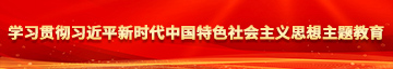 挨肏记学习贯彻习近平新时代中国特色社会主义思想主题教育