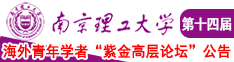 大鸡巴用力操我在线播放南京理工大学第十四届海外青年学者紫金论坛诚邀海内外英才！